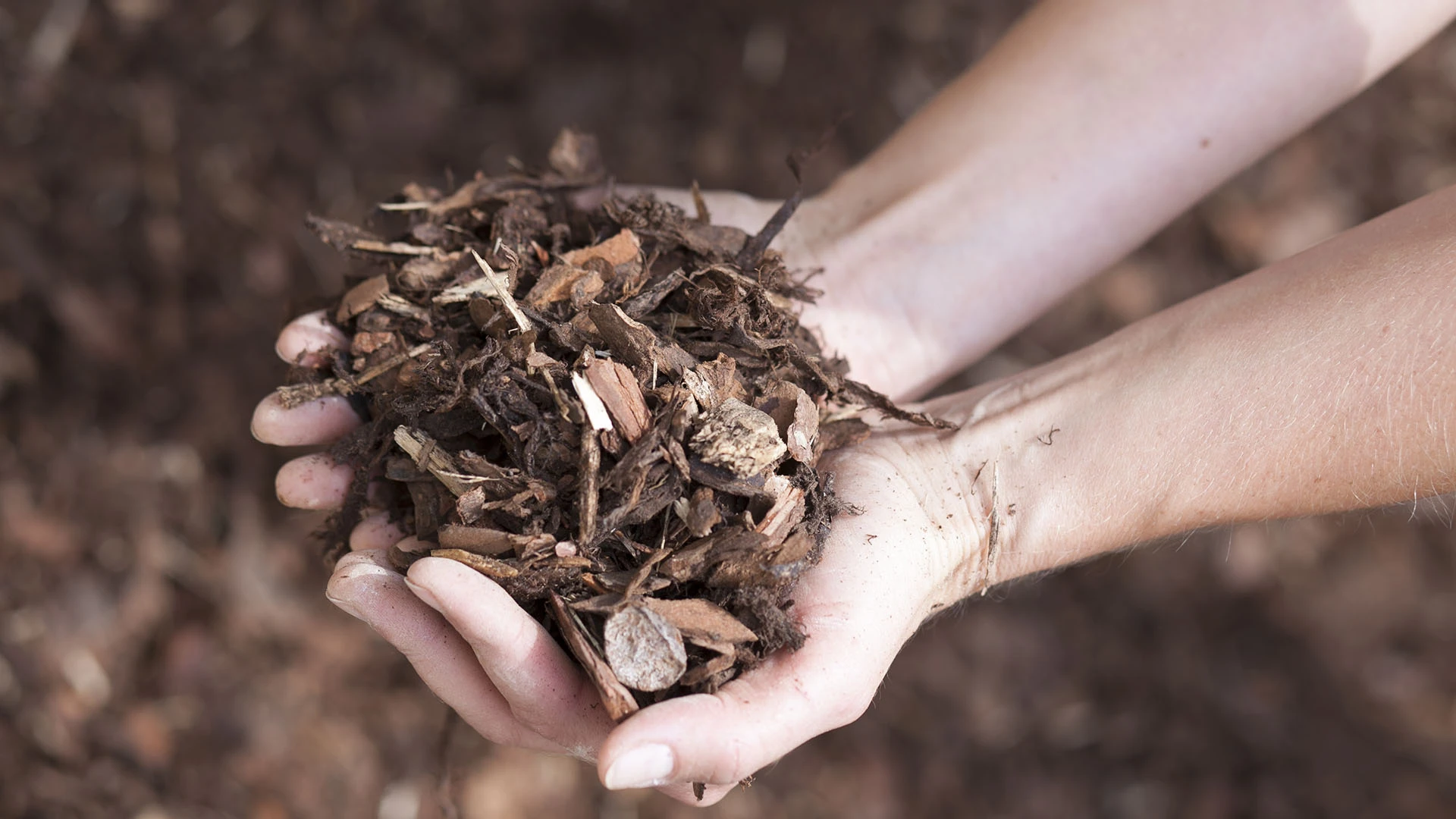 Rindenmulch